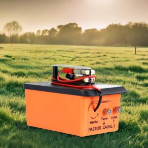 Pastor eléctrico de batería de 12V 12 Julios